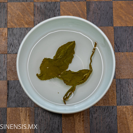 LiShan Oolong Jade de Invierno 2024