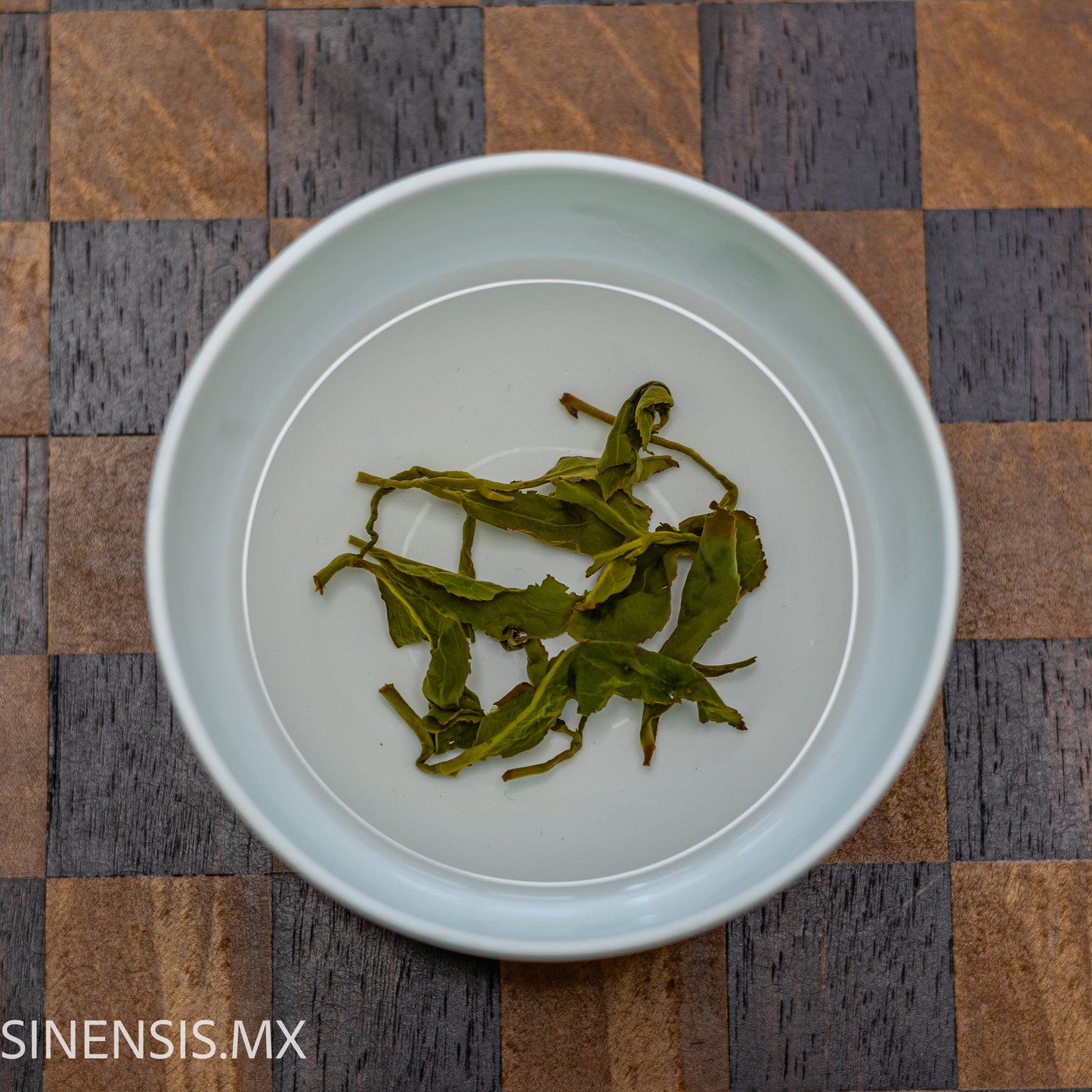 AliShan Jade Oolong de Invierno 2024