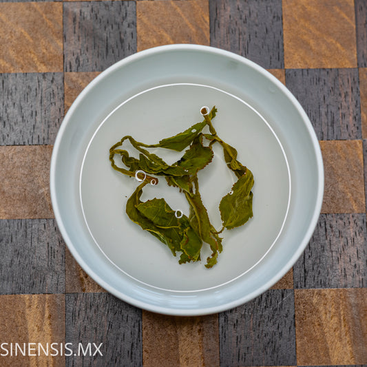 Pinglin Baozhong de Invierno 2024