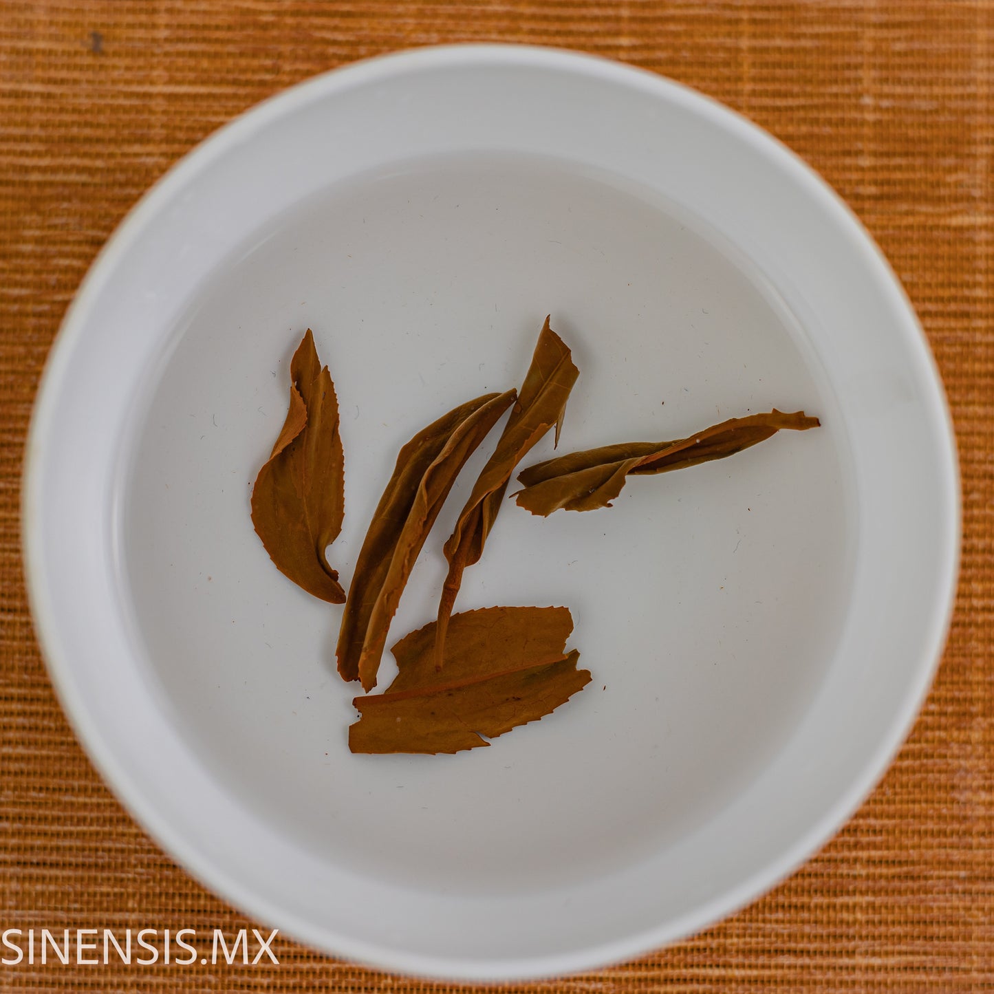 YAME BENIFUUKI BLACK