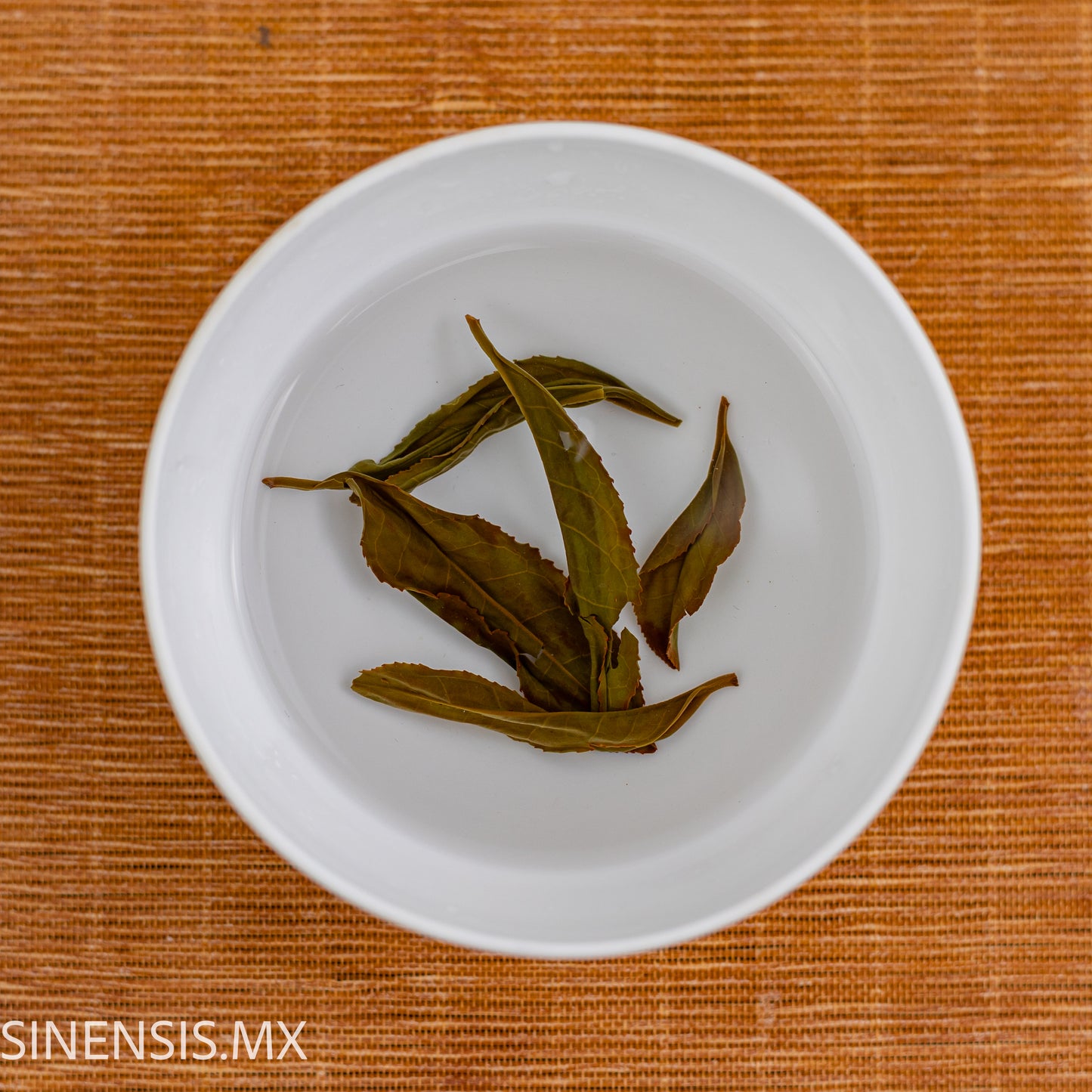 YAME SAYAMAKAORI BLACK