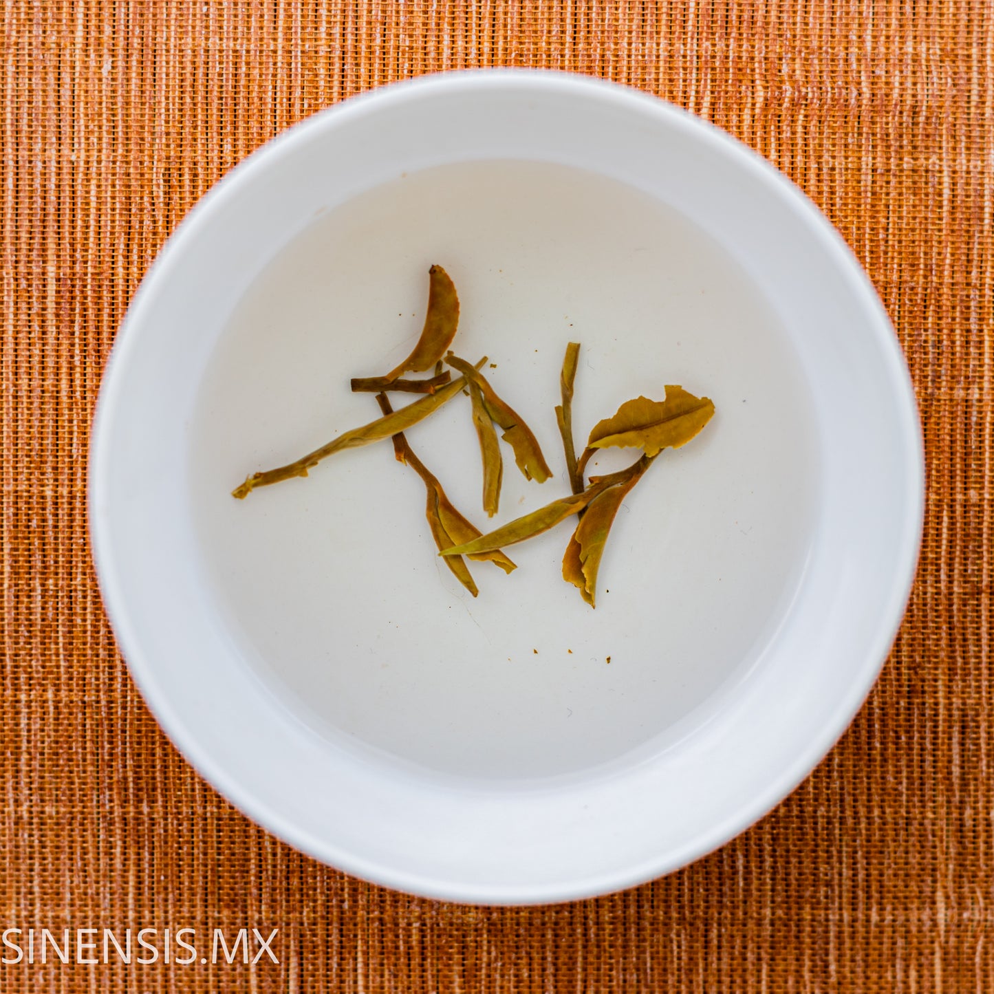 '22 DARJEELING WHITE TEA