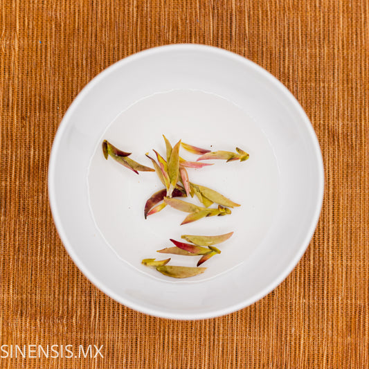 Yunnan Ancient Tree Wild Purple Bud Raw