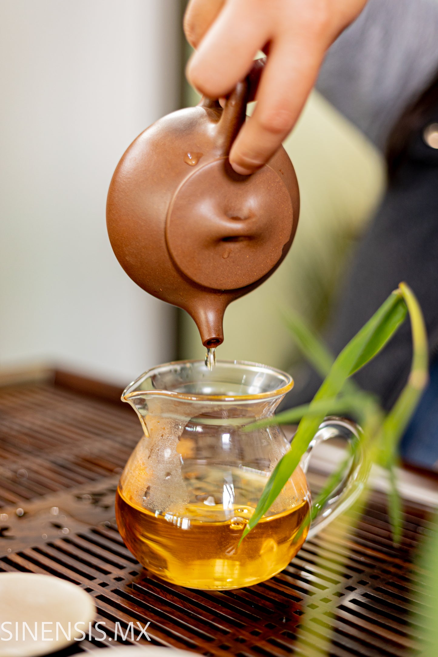 LISHAN - DONG DING STYLE