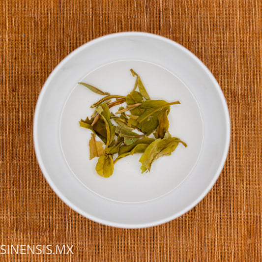 DARJEELING 1ST FLUSH