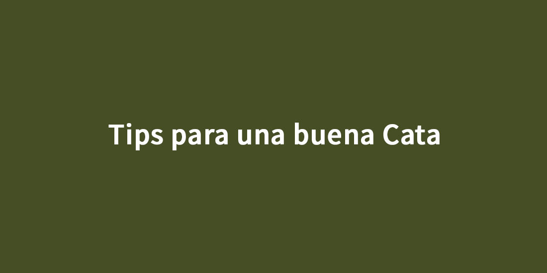 Tips para una buena Cata de té