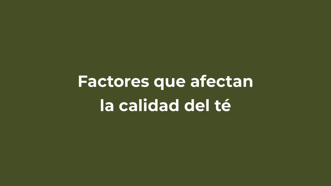 Factores que afectan la calidad del té